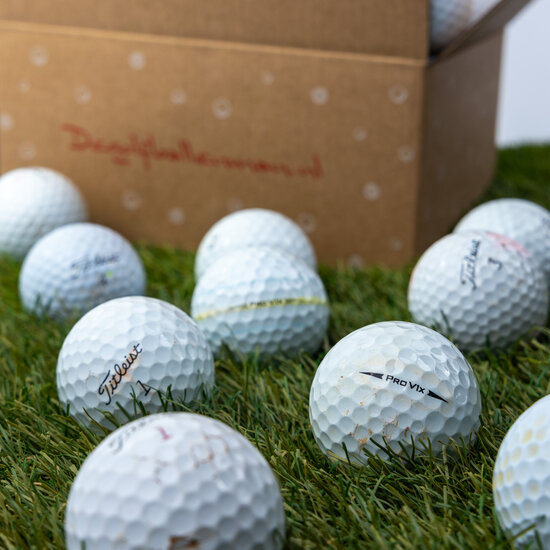 Titleist Pro V1x AA Golfb&auml;lle &ndash; 100 Lakeballs