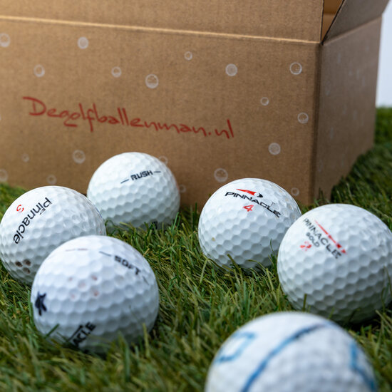 Pinnacle Lakeballs &ndash; 100 Golfb&auml;lle