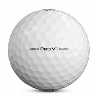Titleist Pro V1 AAA Golfbälle – 100 Lakeballs Titleist Pro V1 AAA Golfbälle – 100 Lakeballs